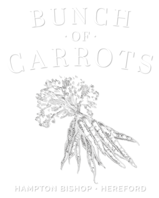 Bunch of Carrots